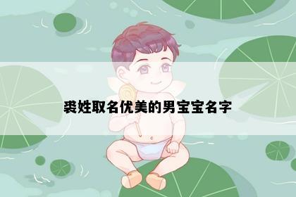 裘姓取名优美的男宝宝名字